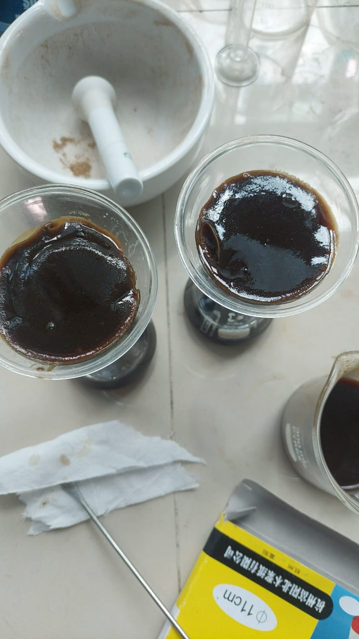 sampel ampas tebu yang telah mengalami pretreatment